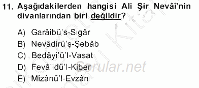 XIV-XV. Yüzyıllar Türk Edebiyatı 2013 - 2014 Ara Sınavı 11.Soru