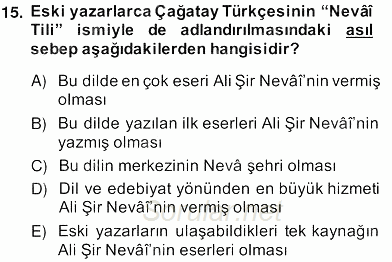 XIV-XV. Yüzyıllar Türk Edebiyatı 2013 - 2014 Ara Sınavı 15.Soru