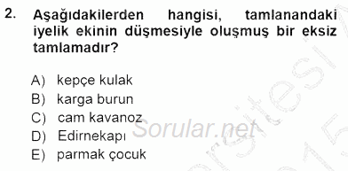 Türkçe Cümle Bilgisi 1 2014 - 2015 Dönem Sonu Sınavı 2.Soru