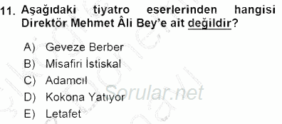 Yeni Türk Edebiyatına Giriş 1 2015 - 2016 Dönem Sonu Sınavı 11.Soru