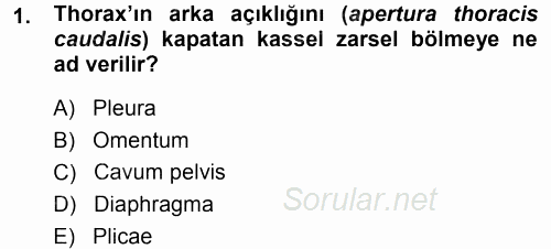 Temel Veteriner Anatomi 2014 - 2015 Ara Sınavı 1.Soru