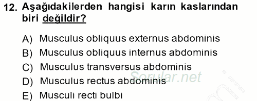 Temel Veteriner Anatomi 2014 - 2015 Ara Sınavı 12.Soru