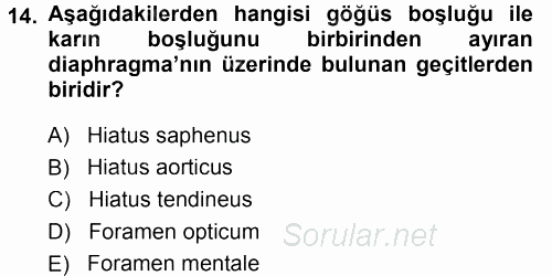 Temel Veteriner Anatomi 2014 - 2015 Ara Sınavı 14.Soru