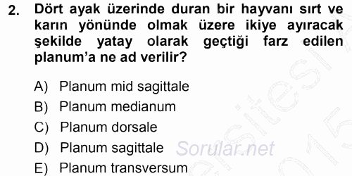 Temel Veteriner Anatomi 2014 - 2015 Ara Sınavı 2.Soru