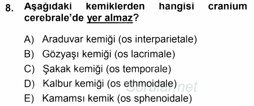 Temel Veteriner Anatomi 2014 - 2015 Ara Sınavı 8.Soru