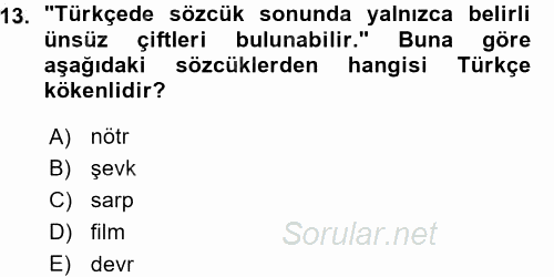 Türk Dili 1 2015 - 2016 Ara Sınavı 13.Soru