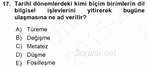 Türk Dili 1 2015 - 2016 Ara Sınavı 17.Soru