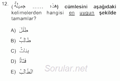 Arapça 1 2012 - 2013 Tek Ders Sınavı 12.Soru