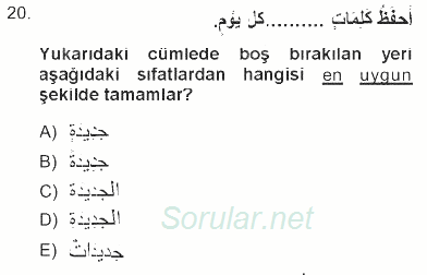 Arapça 1 2012 - 2013 Tek Ders Sınavı 20.Soru