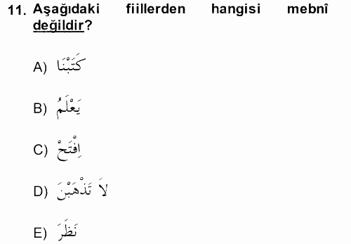 Arapça 2 2014 - 2015 Ara Sınavı 11.Soru