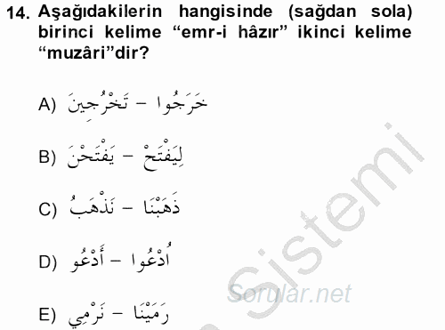 Arapça 2 2014 - 2015 Ara Sınavı 14.Soru
