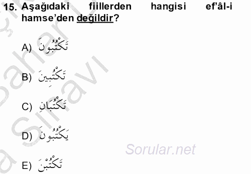 Arapça 2 2014 - 2015 Ara Sınavı 15.Soru