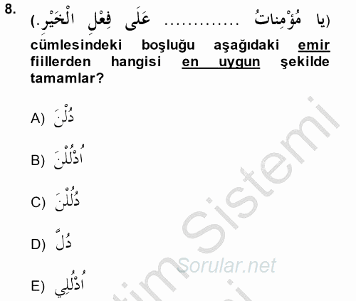 Arapça 2 2014 - 2015 Ara Sınavı 8.Soru