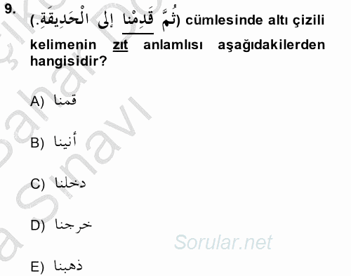 Arapça 2 2014 - 2015 Ara Sınavı 9.Soru