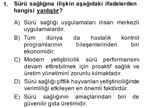 Temel Sürü Sağlığı Yönetimi 2014 - 2015 Ara Sınavı 1.Soru