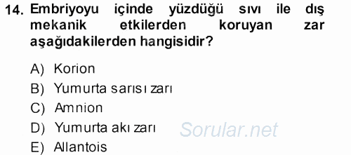 Temel Zootekni 2013 - 2014 Dönem Sonu Sınavı 14.Soru
