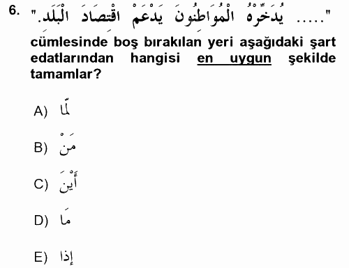Arapça 4 2015 - 2016 Tek Ders Sınavı 6.Soru