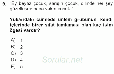 Türkçe Cümle Bilgisi 1 2015 - 2016 Dönem Sonu Sınavı 9.Soru