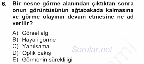 Görsel Kültür 2012 - 2013 Dönem Sonu Sınavı 6.Soru