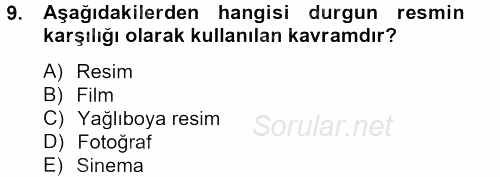 Görsel Kültür 2012 - 2013 Dönem Sonu Sınavı 9.Soru