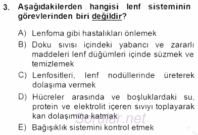 Tıbbi Terminoloji 2013 - 2014 Dönem Sonu Sınavı 3.Soru