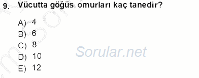 Tıbbi Terminoloji 2013 - 2014 Dönem Sonu Sınavı 9.Soru