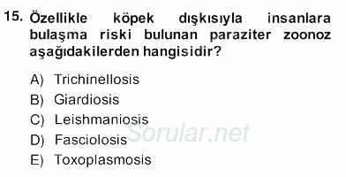 Temel Veteriner Parazitoloji 2013 - 2014 Ara Sınavı 15.Soru