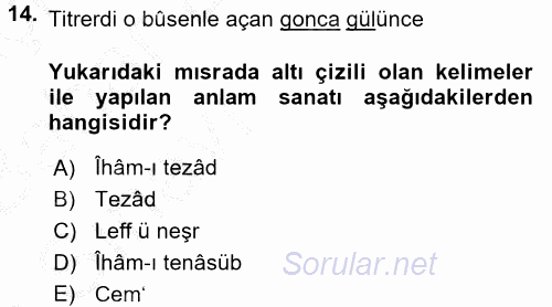 Eski Türk Edebiyatına Giriş: Söz Sanatları 2016 - 2017 Ara Sınavı 14.Soru