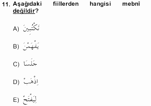 Arapça 2 2013 - 2014 Ara Sınavı 11.Soru