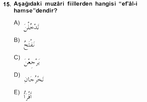 Arapça 2 2013 - 2014 Ara Sınavı 15.Soru