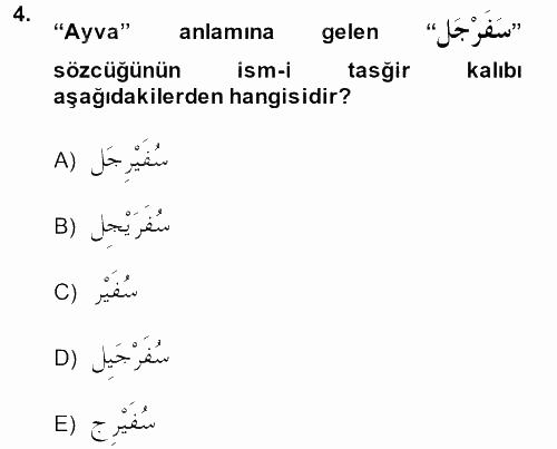 Arapça 2 2013 - 2014 Ara Sınavı 4.Soru