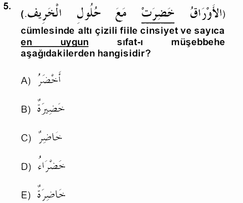 Arapça 2 2013 - 2014 Ara Sınavı 5.Soru