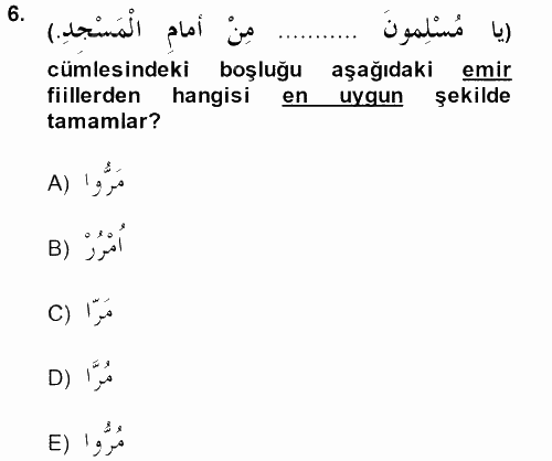 Arapça 2 2013 - 2014 Ara Sınavı 6.Soru