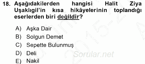 II. Abdülhamit Dönemi Türk Edebiyatı 2015 - 2016 Ara Sınavı 18.Soru