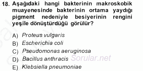 Temel Veteriner Mikrobiyoloji ve İmmünoloji 2013 - 2014 Ara Sınavı 18.Soru
