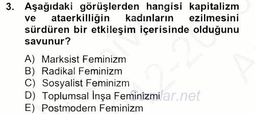 Toplumsal Cinsiyet Çalışmaları 2012 - 2013 Ara Sınavı 3.Soru