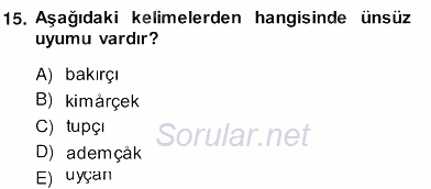 Çağdaş Türk Yazı Dilleri 2 2013 - 2014 Ara Sınavı 15.Soru