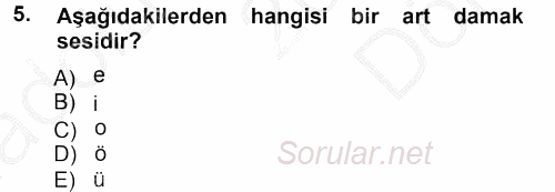 Türkçe Ses Bilgisi 2014 - 2015 Dönem Sonu Sınavı 5.Soru