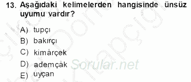 Çağdaş Türk Yazı Dilleri 2 2014 - 2015 Ara Sınavı 13.Soru
