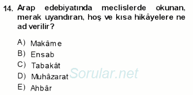 VIII-XIII. Yüzyıllar Türk Edebiyatı 2013 - 2014 Ara Sınavı 14.Soru
