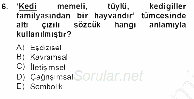 Genel Dilbilim 2 2013 - 2014 Tek Ders Sınavı 6.Soru