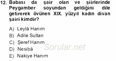 XIX. Yüzyıl Türk Edebiyatı 2013 - 2014 Tek Ders Sınavı 12.Soru