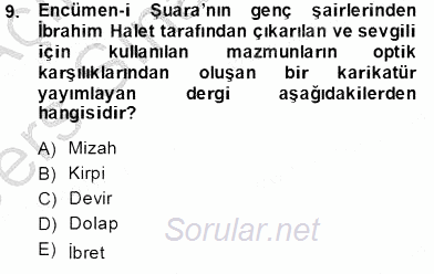XIX. Yüzyıl Türk Edebiyatı 2013 - 2014 Tek Ders Sınavı 9.Soru