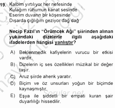 Cumhuriyet Dönemi Türk Şiiri 2015 - 2016 Ara Sınavı 19.Soru