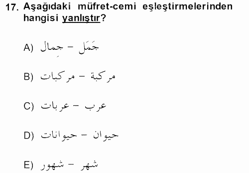 Arapça 4 2013 - 2014 Dönem Sonu Sınavı 17.Soru