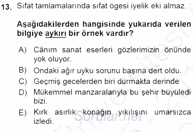 Türkçe Cümle Bilgisi 1 2015 - 2016 Ara Sınavı 13.Soru