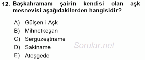 XIX. Yüzyıl Türk Edebiyatı 2015 - 2016 Tek Ders Sınavı 12.Soru