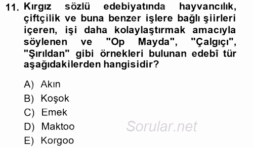 Çağdaş Türk Edebiyatları 2 2013 - 2014 Tek Ders Sınavı 11.Soru