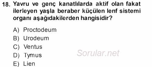 Temel Veteriner Anatomi 2013 - 2014 Dönem Sonu Sınavı 18.Soru