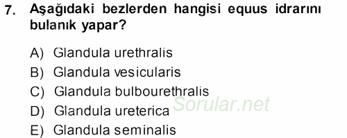 Temel Veteriner Anatomi 2013 - 2014 Dönem Sonu Sınavı 7.Soru